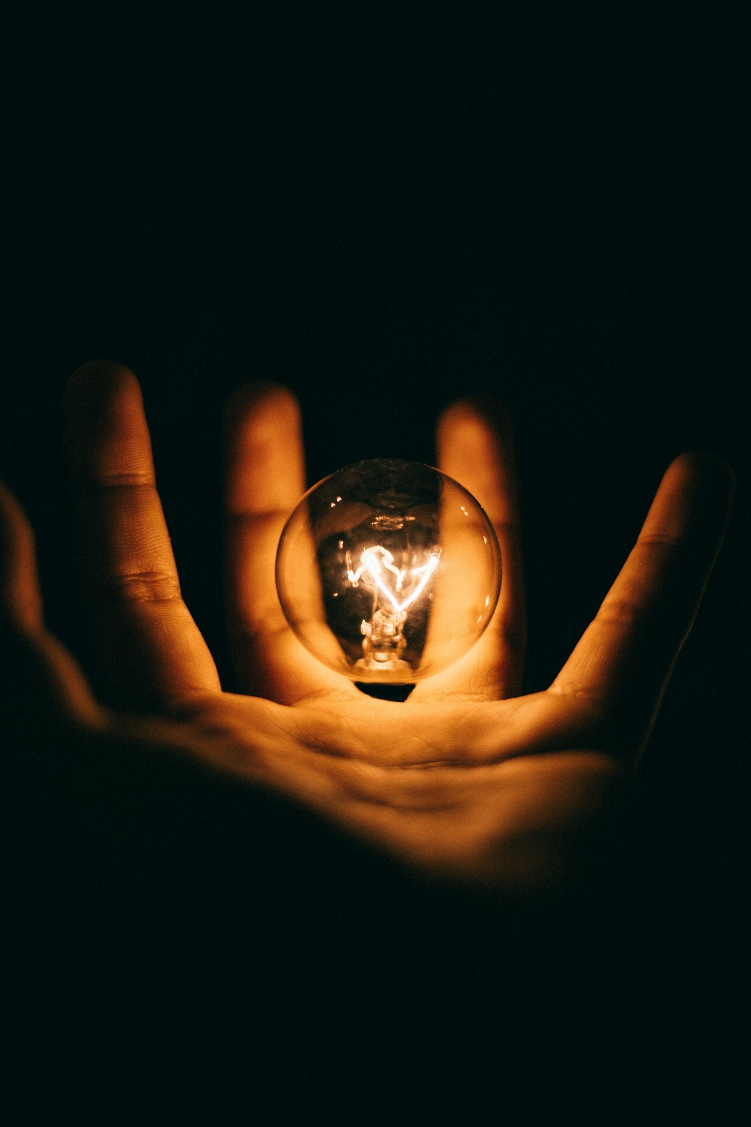 Understanding the Dual Desires of Consumers